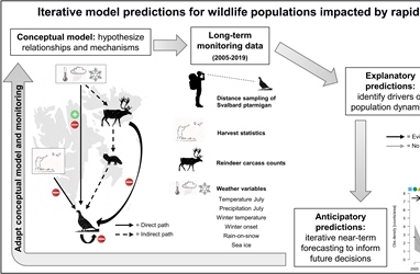 Understanding and predicting how climate change impacts Svalbard ptarmigan population dynamics